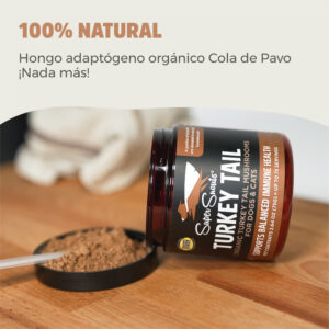 turkey-tail-hongo-inmunomodulador