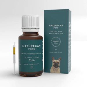 aceite-cbd-ultrapuro-perros-5