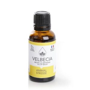 velbecia-flores-de-bach-estres-para-perros-y-gatos
