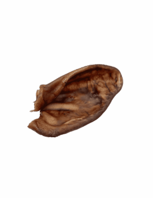 Oreja de cerdo deshidratada – 1 unidad