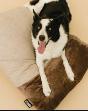 cojines-milu-varios-colores