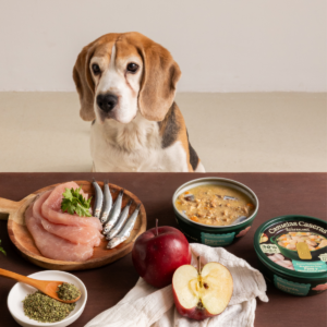 cazuelas-caseras-280-gr-boqueron-pavo-y-manzana-wild-balance