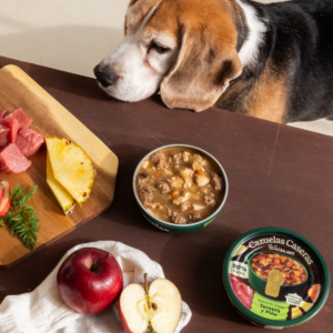 Cazuelas Caseras 280 gr - Ternera y Piña-Wild Balance