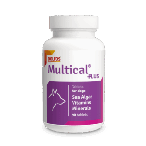 Multical Plus para perros – Vitaminas, minerales y aminoácidos completos | Refuerzo inmune y vitalidad